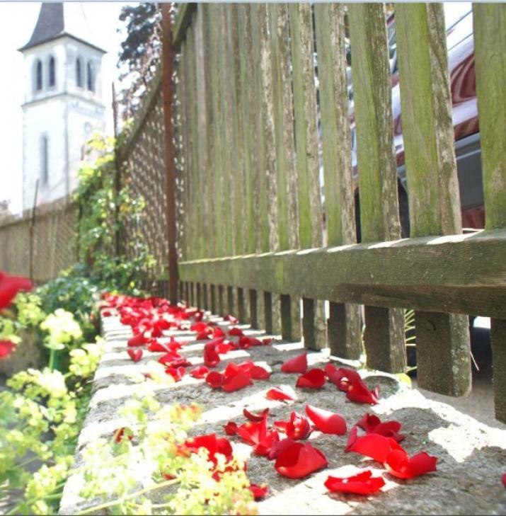 Ringmauer Otel Murten Dış mekan fotoğraf